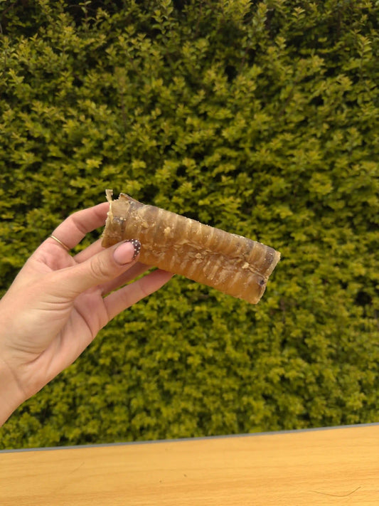 Beef Trachea x2