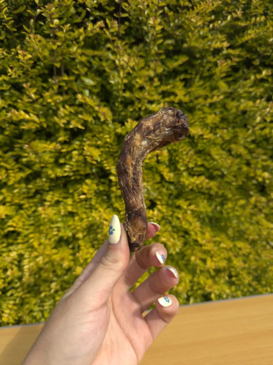 Chicken Neck