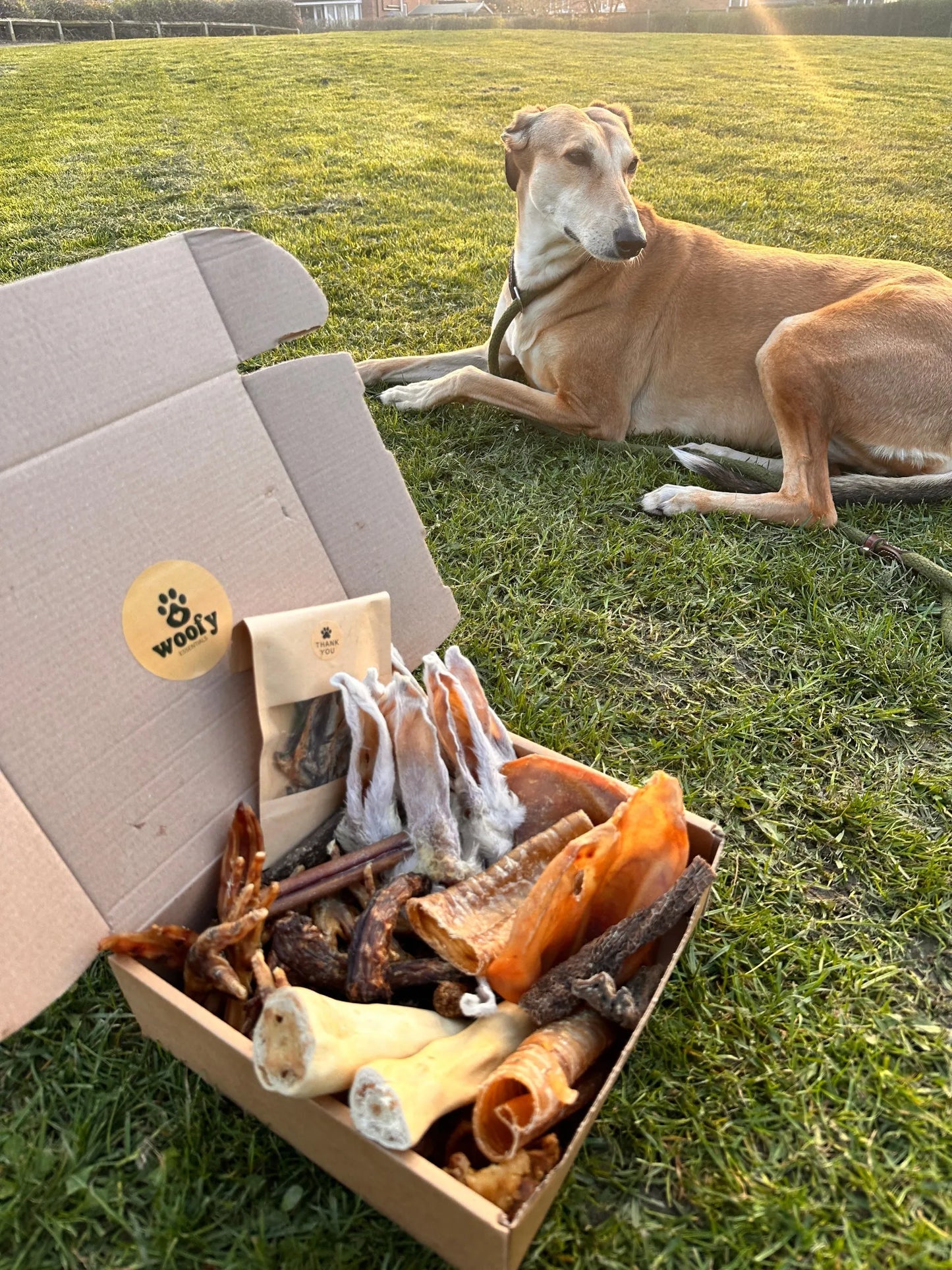 Deluxe Box | Natural Air-Dried Dog Treats (50 Pieces) *NEW*