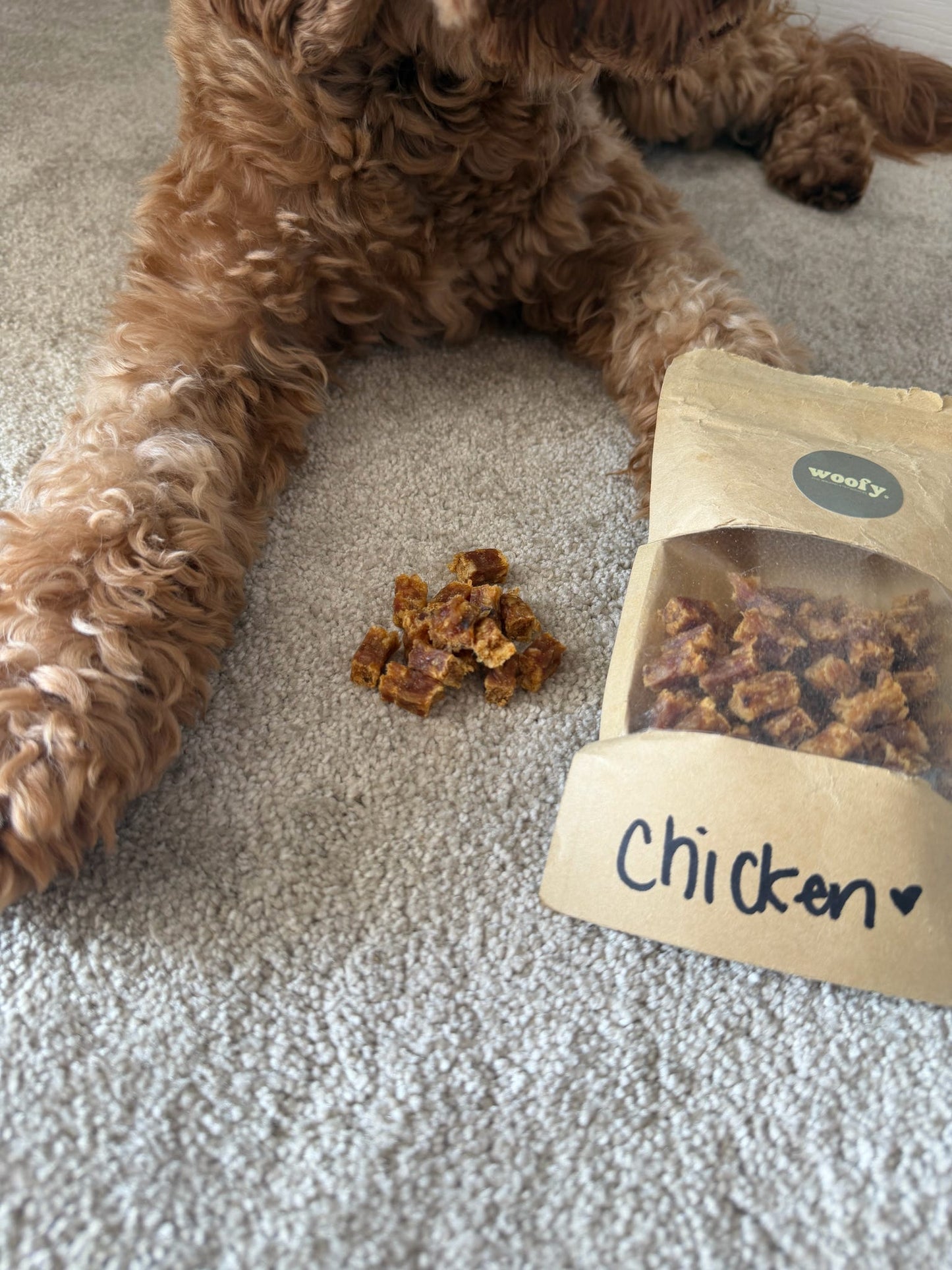 Chicken Treat Pouch