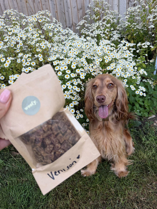 Venison Treat Pouch