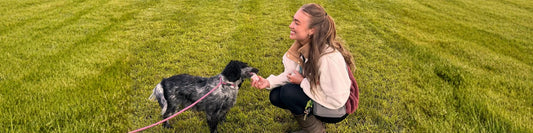 Meet Elle: How a Dog Walker Built a Treat Brand Dogs Actually Deserve
