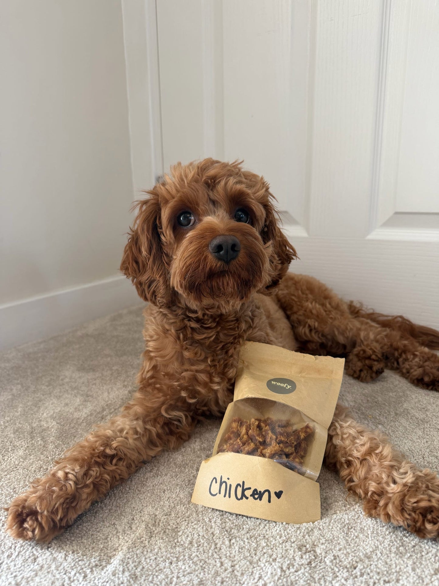 Chicken Treat Pouch