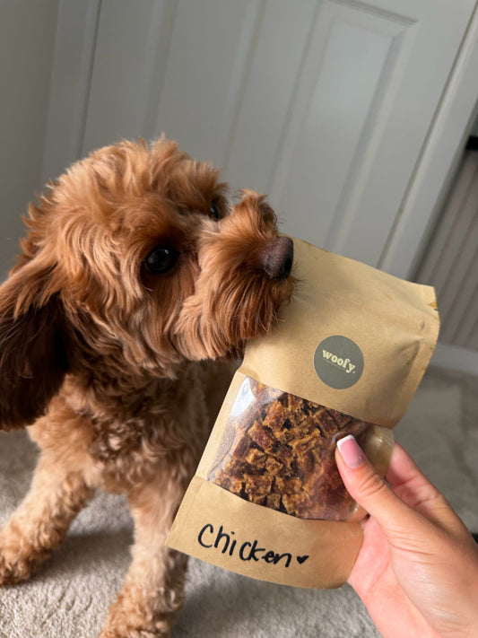 Chicken Treat Pouch