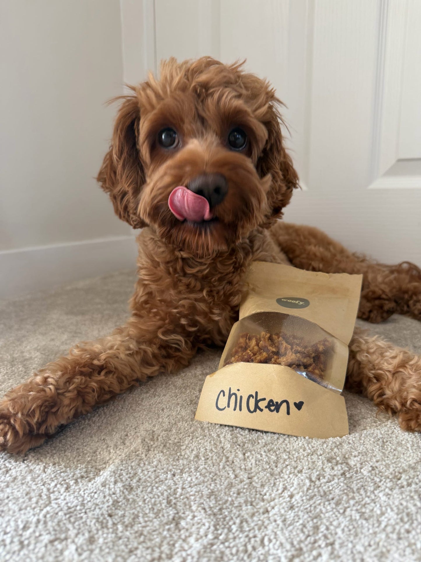 Chicken Treat Pouch