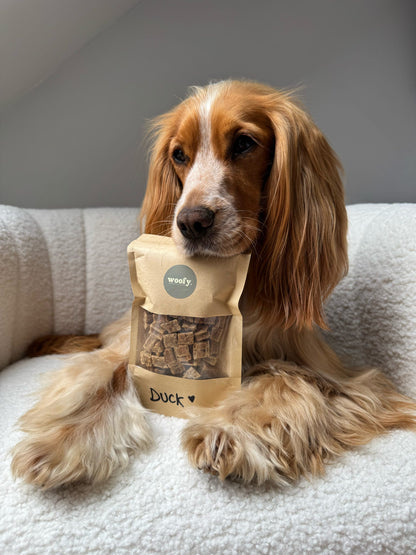 Duck Treat Pouch
