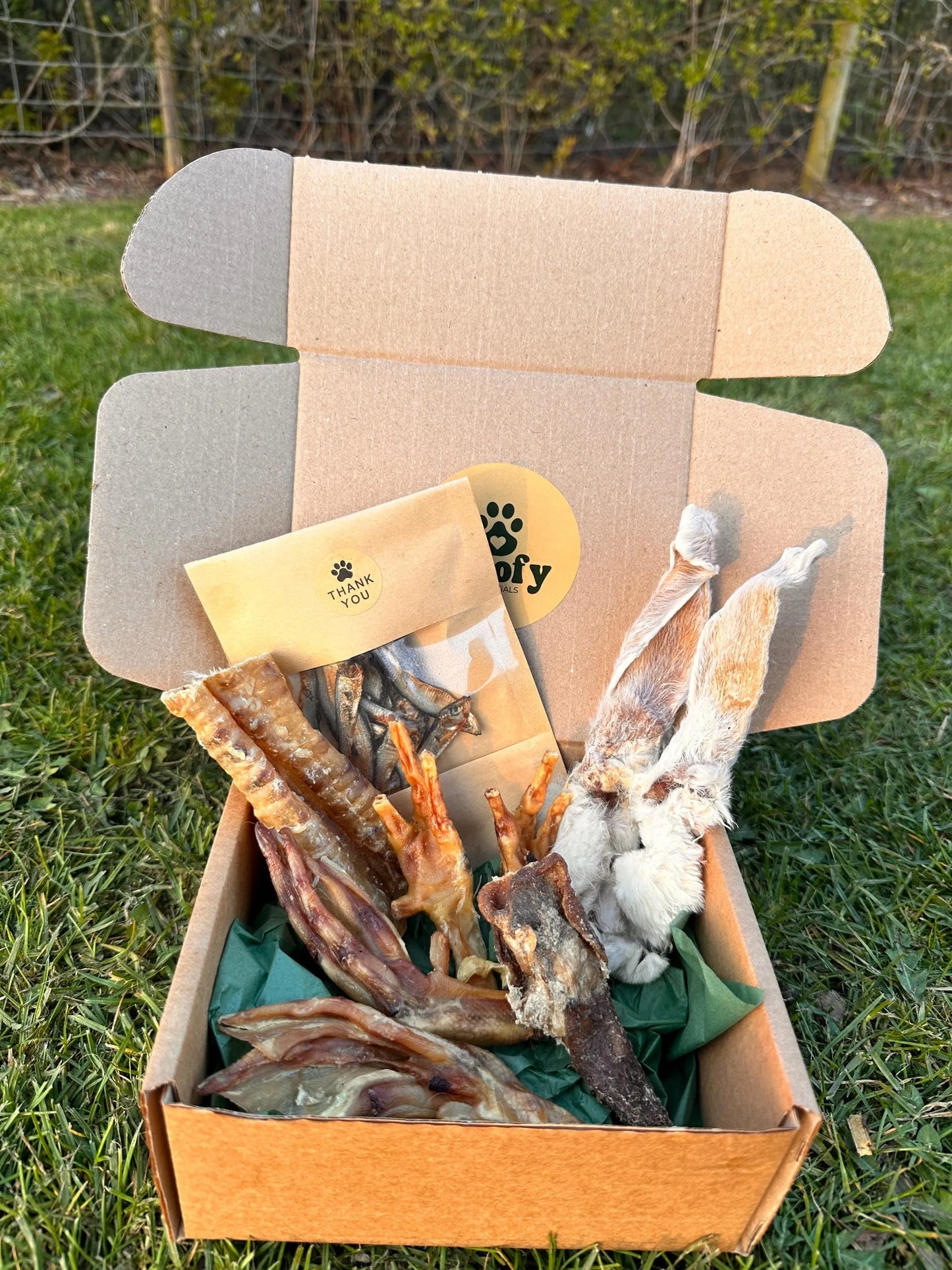 Taster Box | Natural Air-Dried Dog Treat Selection (20 Pieces) *NEW*