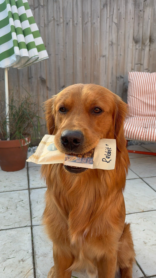 Rabbit Treat Pouch
