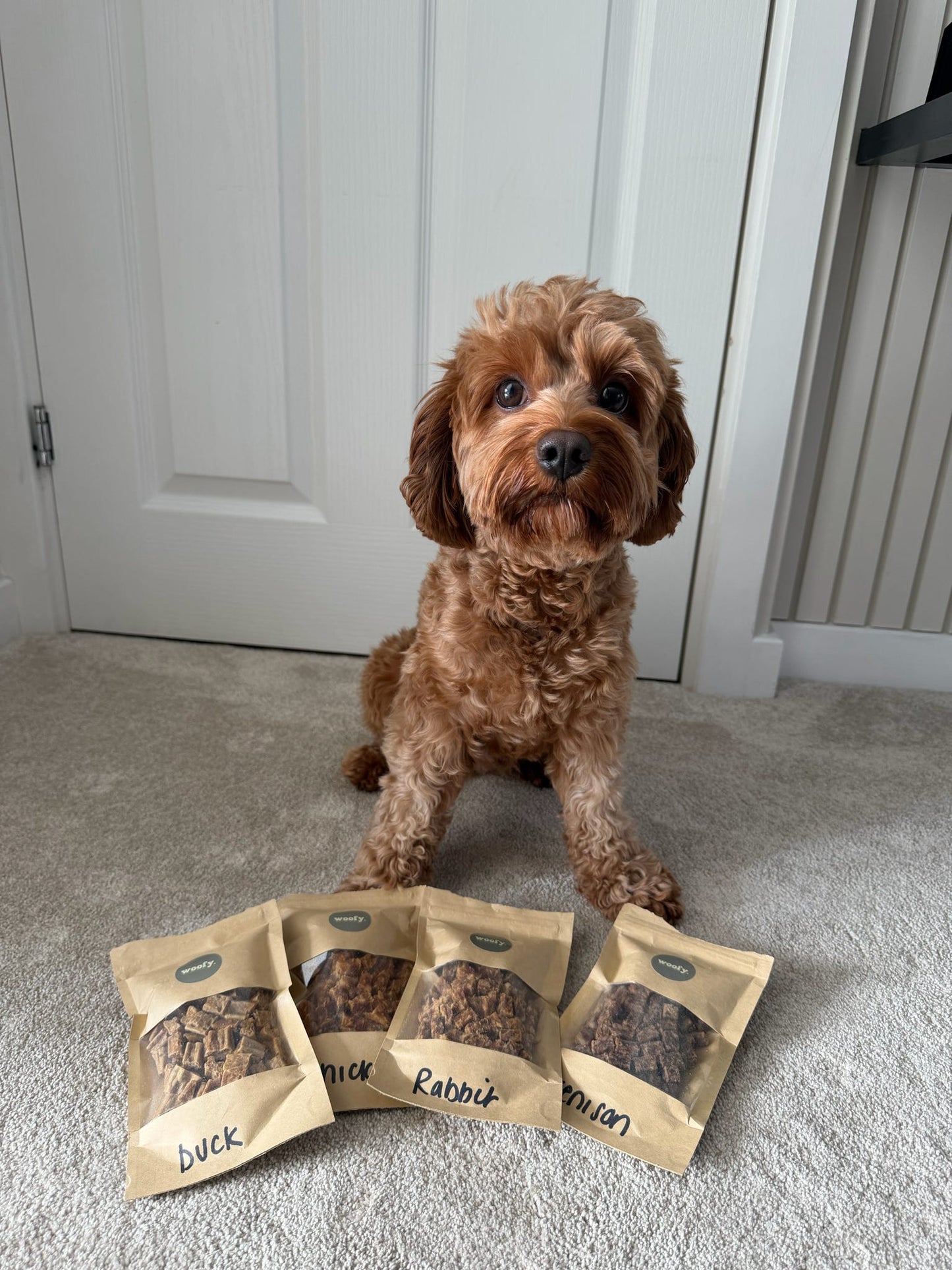 Venison Treat Pouch