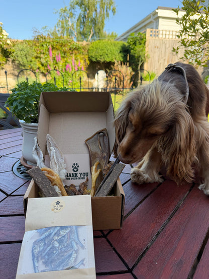 Essentials Box (30 Pieces)