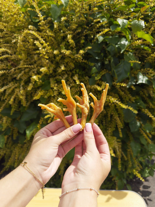 Chicken Feet x 4