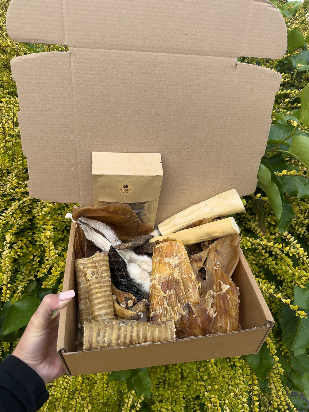 Deluxe Box | Natural Air-Dried Dog Treats (50 Pieces) *NEW*