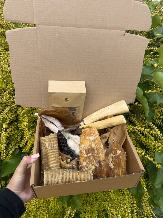 Deluxe Box | Natural Air-Dried Dog Treats (50 Pieces) *NEW*