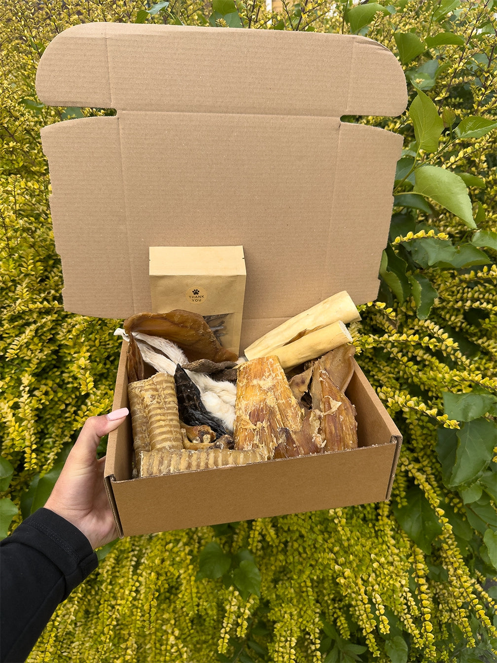 Deluxe Box | Natural Air-Dried Dog Treats (50 Pieces) *NEW*