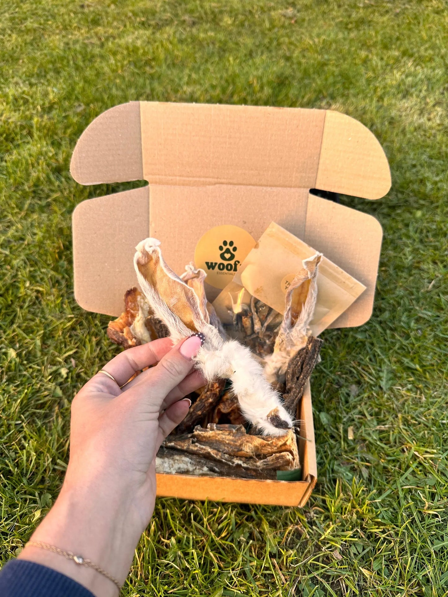 Essentials Box | Natural Air-Dried Dog Treat Selection (30 Pieces) *NEW*
