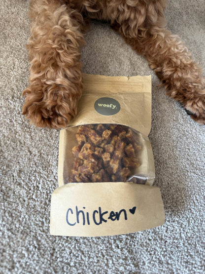 Chicken Treat Pouch