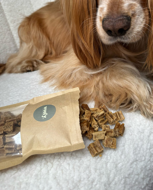 Duck Treat Pouch