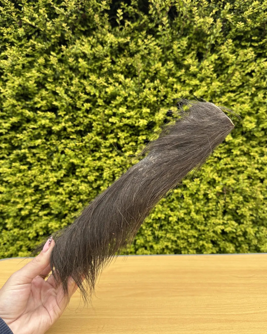 Jumbo Roll — Natural Hairy Buffalo Skin Chew