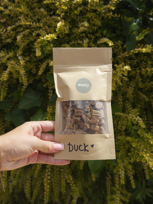 Duck Treat Pouch