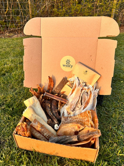 Deluxe XL Box | Air-Dried Dog Treat Selection (62 Pieces) *NEW*