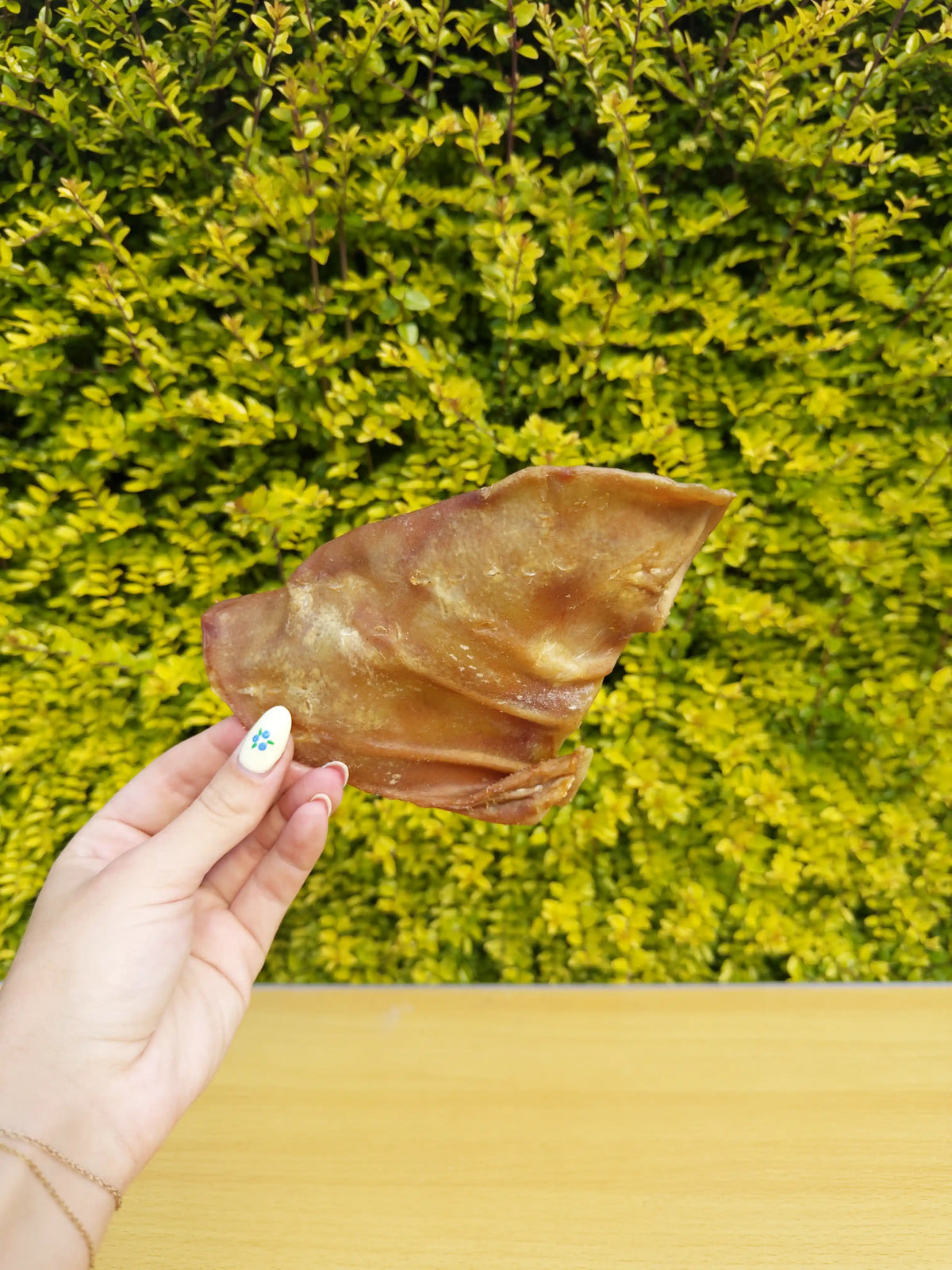 Pig Ear x1