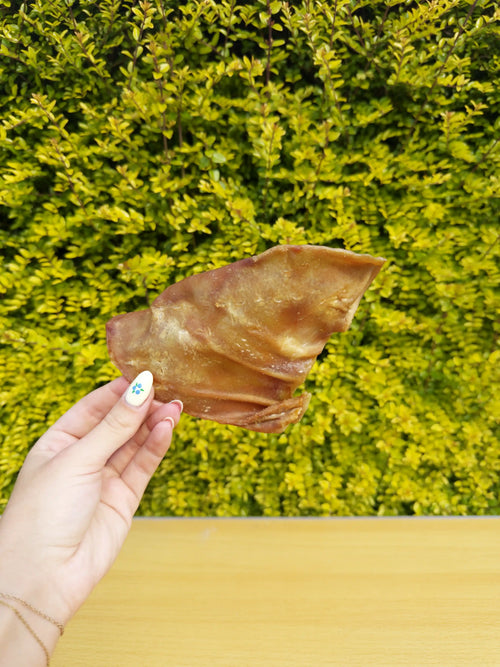 Pig Ear x1