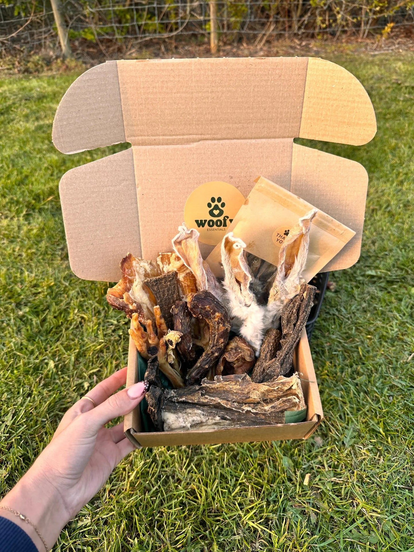 Essentials Box | Natural Air-Dried Dog Treat Selection (30 Pieces) *NEW*