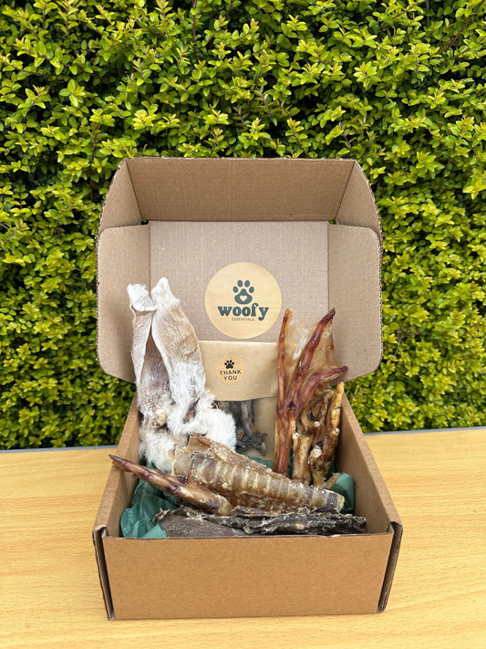 Taster Box | Natural Air-Dried Dog Treat Selection (20 Pieces) *NEW*