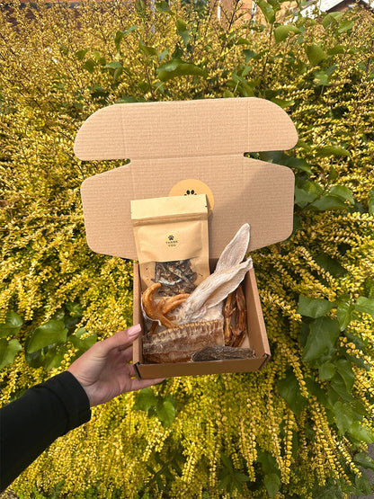 Taster Box | Natural Air-Dried Dog Treat Selection (20 Pieces) *NEW*