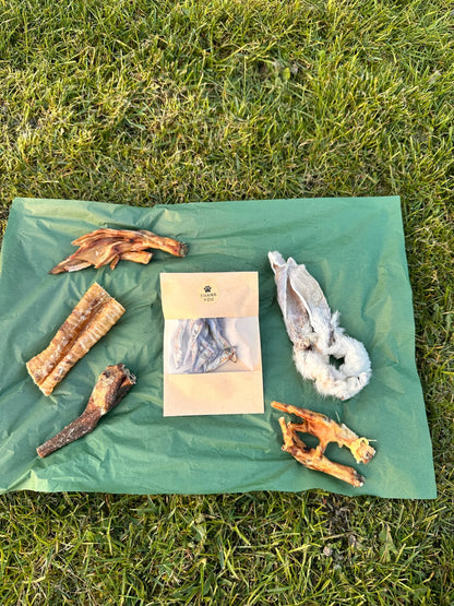 Taster Box | Natural Air-Dried Dog Treat Selection (20 Pieces) *NEW*