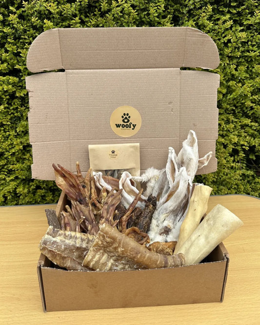 Deluxe XL Box | Air-Dried Dog Treat Selection (62 Pieces) *NEW*